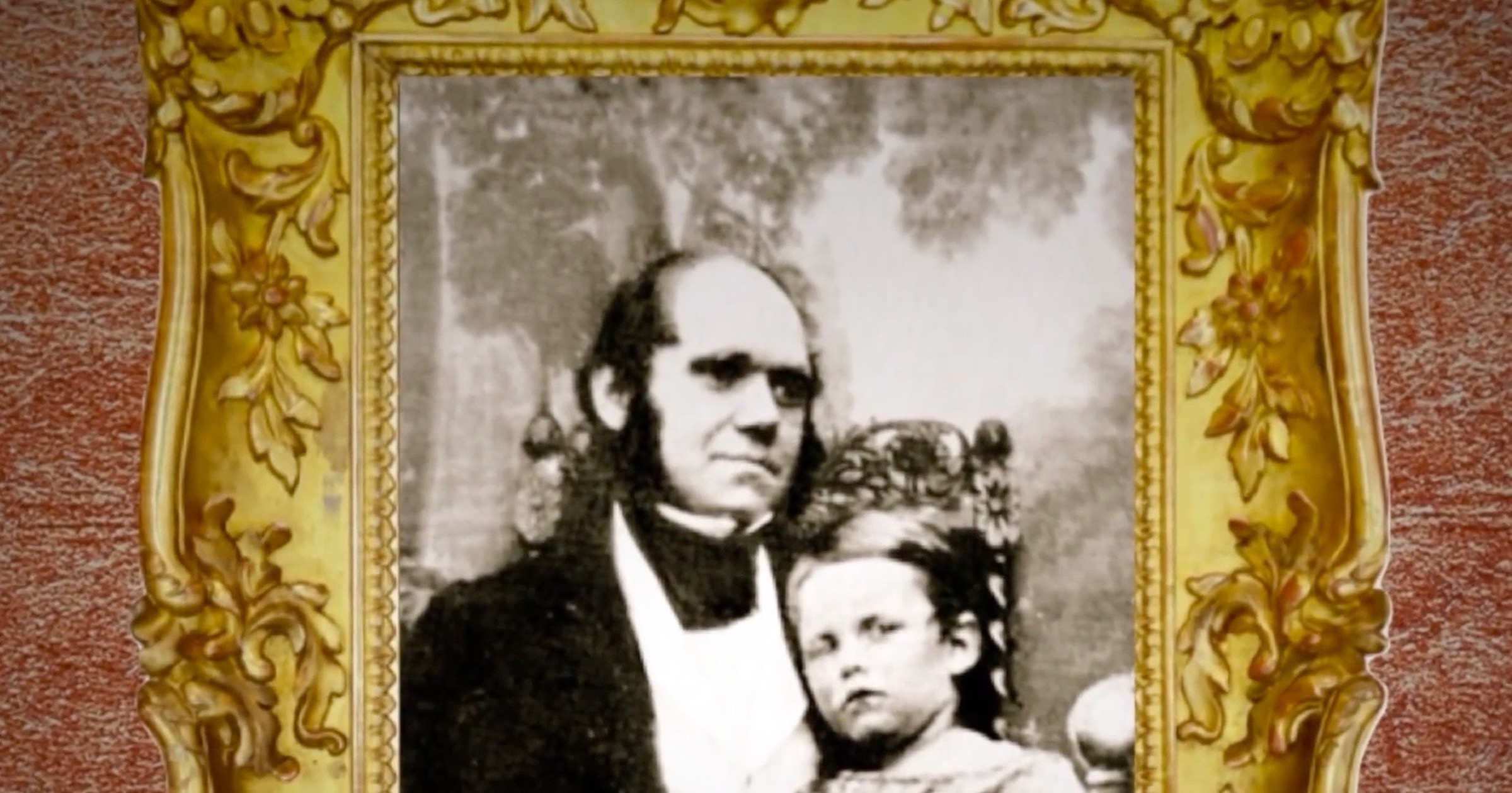 The Uses of Illness in Darwin’s Correspondence