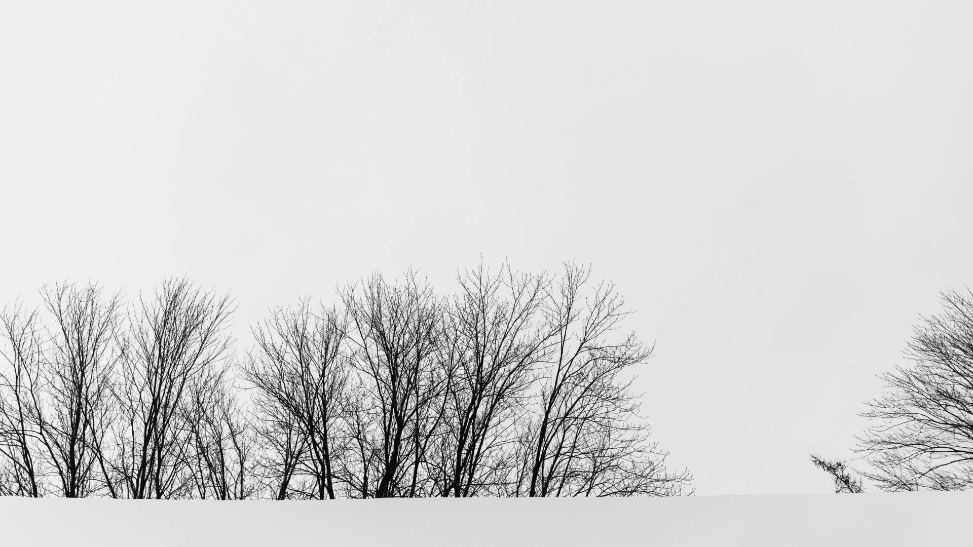 Finding Truth: Why Worldviews Commit Suicide
