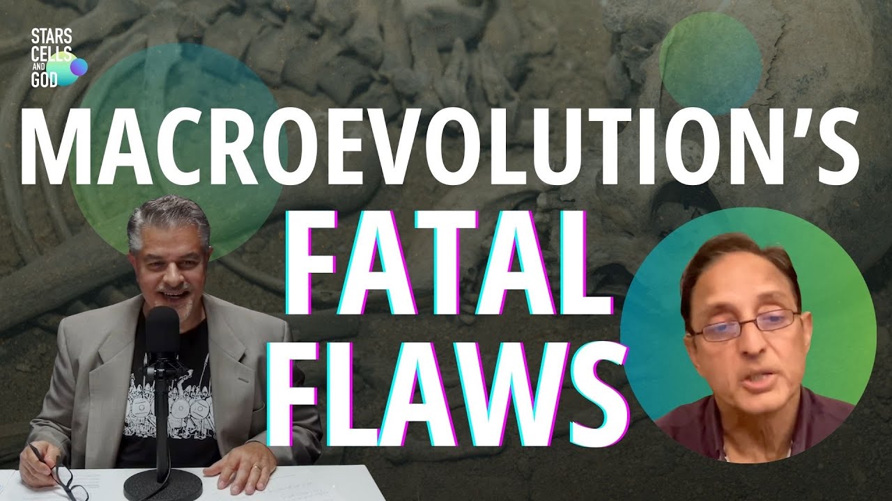Why Macroevolution Doesn’t Work