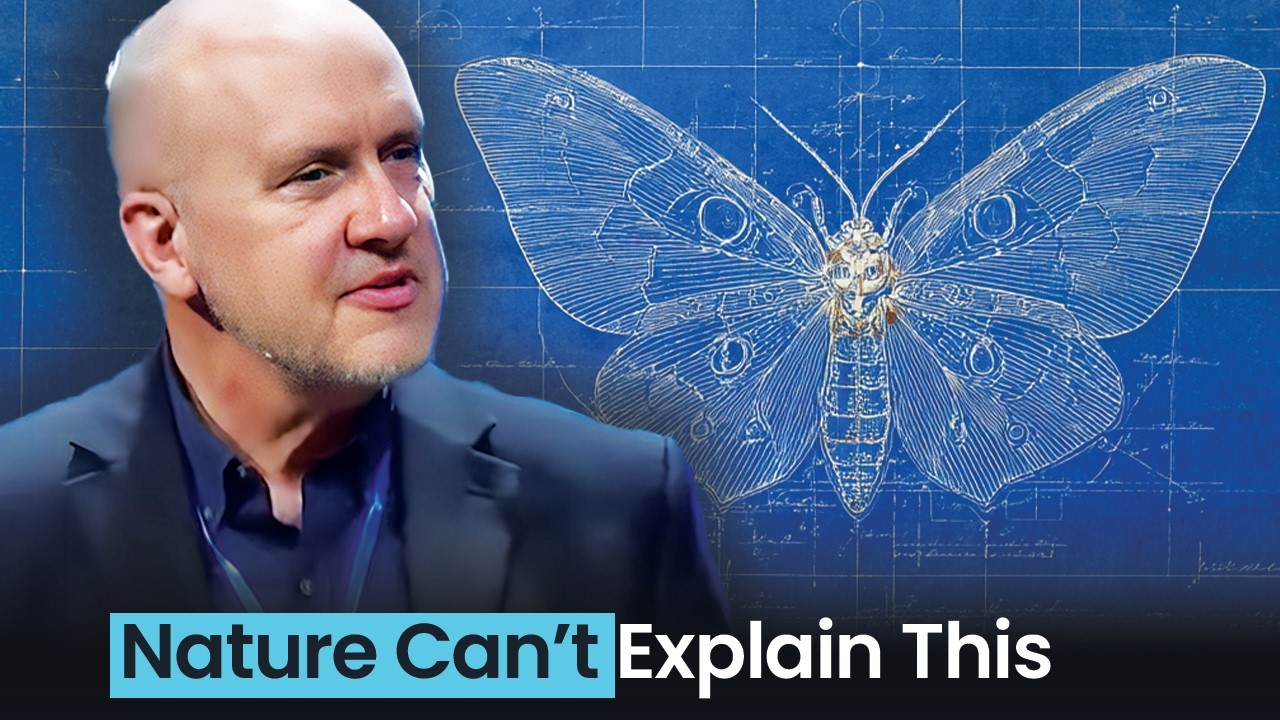 The Butterfly Was Designed