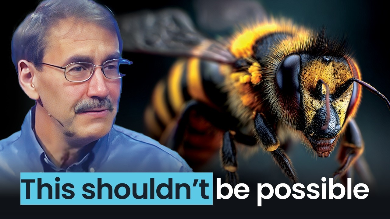 The Incredible Design of Honeybees: Proof of a Brilliant Creator