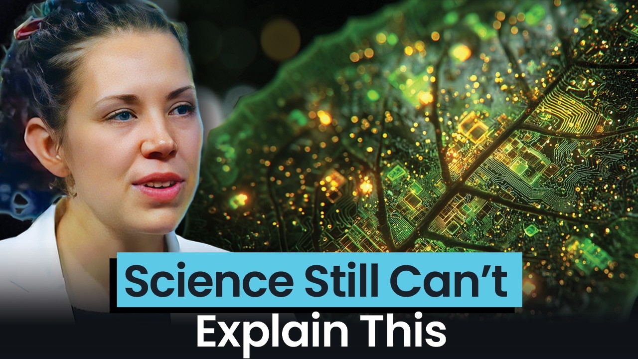 We Take This Miracle for Granted Every Day