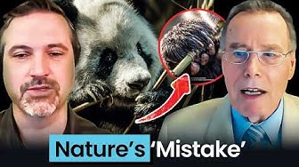 Scientists Say This Panda Bone Defies Evolution