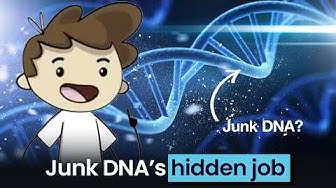 Scientists Said 98% of Your DNA Was Useless… They Were Wrong