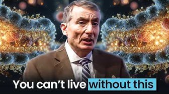 The Secret Complexity Inside Every Living Cell