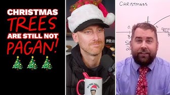 Before You Toss Out Your Christmas Tree… Watch This