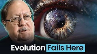 The Human Eye: Perfect Design or Evolutionary Accident?