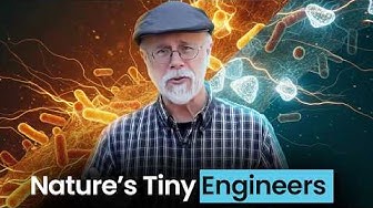 You’re Not Ready for What Bacteria Can Do