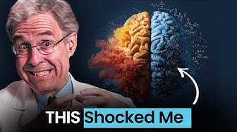 No Part of the Brain Saw the Whole Picture—Yet the Mind Did