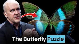 The Pupa Paradox: Evolution’s Unsolved Mystery