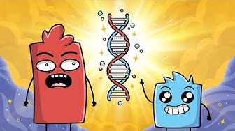 All Life Runs Code (God Proofs, Ep. 1)