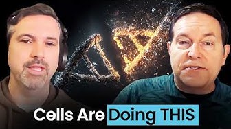 The Limits of DNA as an Explanation for Life