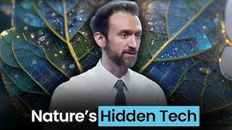 Why a Leaf Is the Most Advanced Solar Panel on Earth