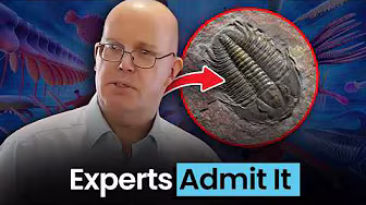 Fossils are Proving the Existence of God
