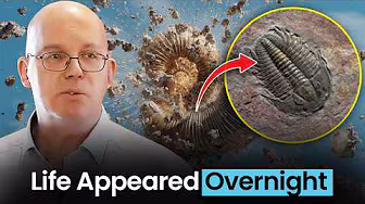 The Near-Instant Origin of Life