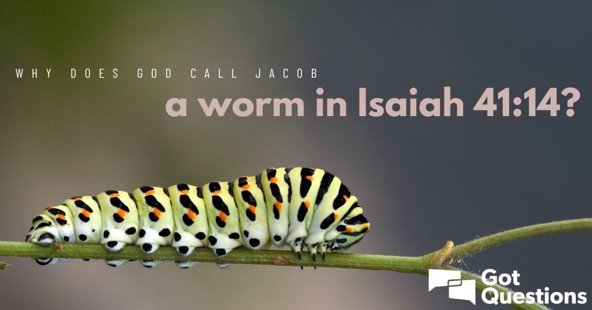 Why does God call Jacob a worm in Isaiah 41:14?