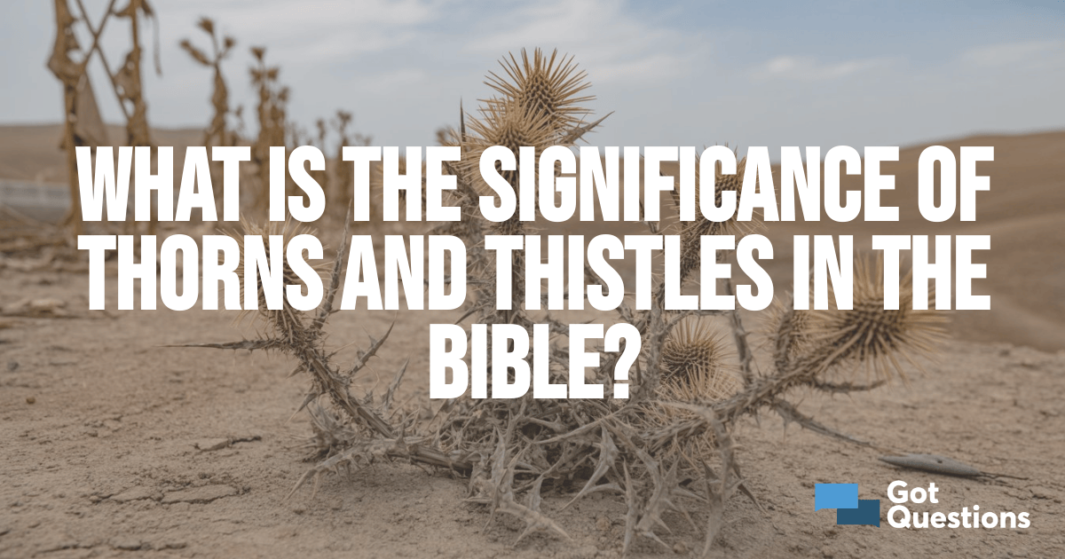 What is the significance of thorns and thistles in the Bible?