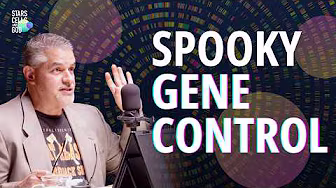 Quantum Mechanics vs. Biochemistry: Spooky Action at a Distance