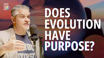 Did God Use Evolution to Create?