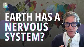 Why Geography is the Ultimate 'Nervous System' for Our Planet