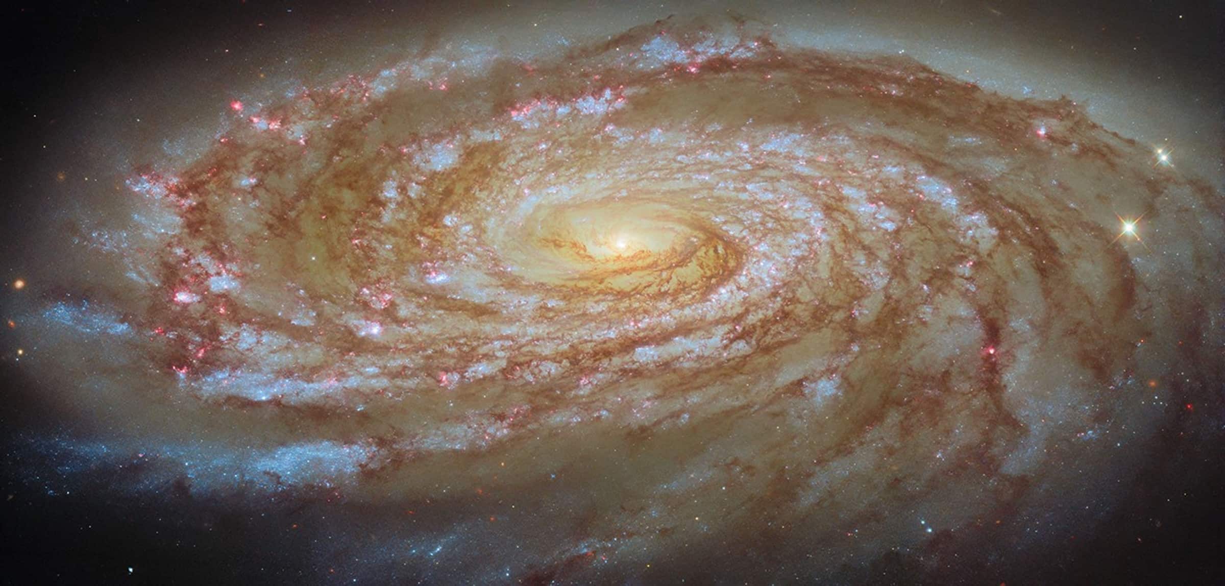 New Physics Is Always Tentative; Here’s Why