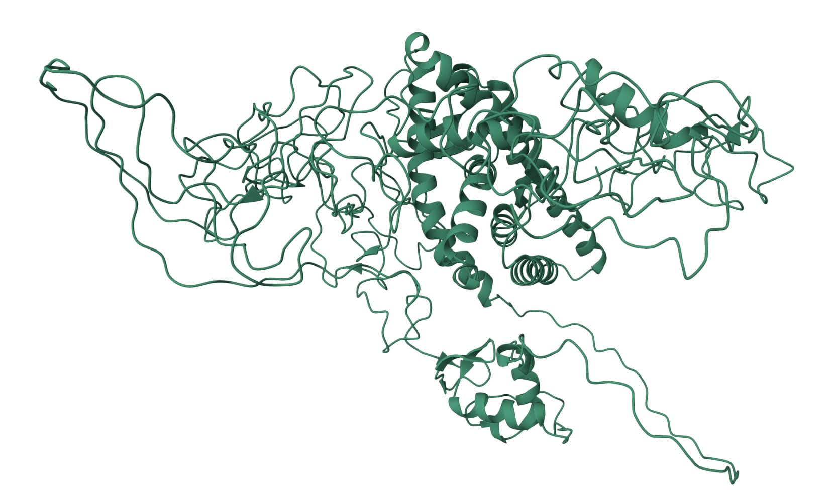 Active Matter: Newfound Order in “Disordered” Proteins