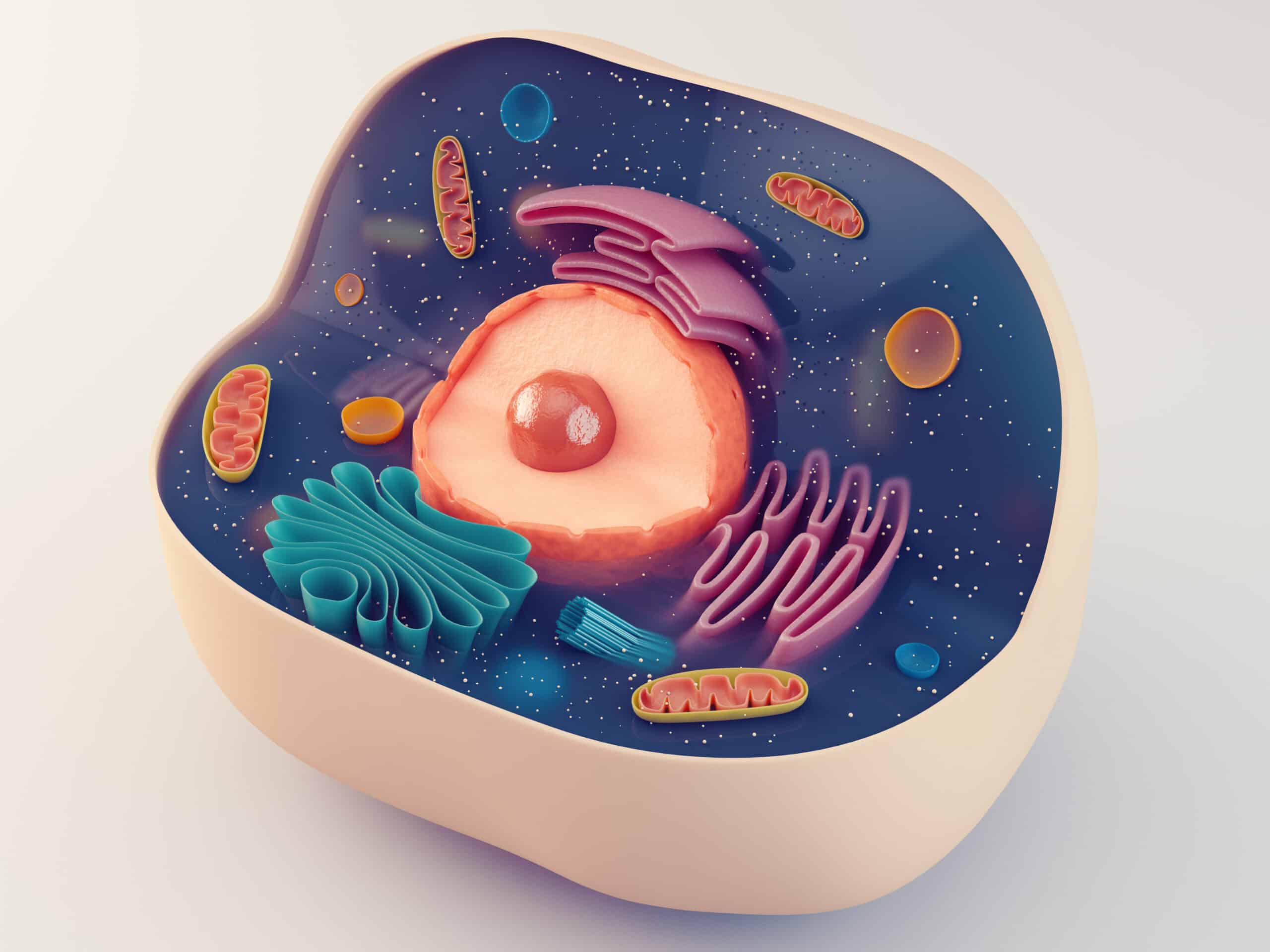 Epigenome Is Biology’s Second Revolution