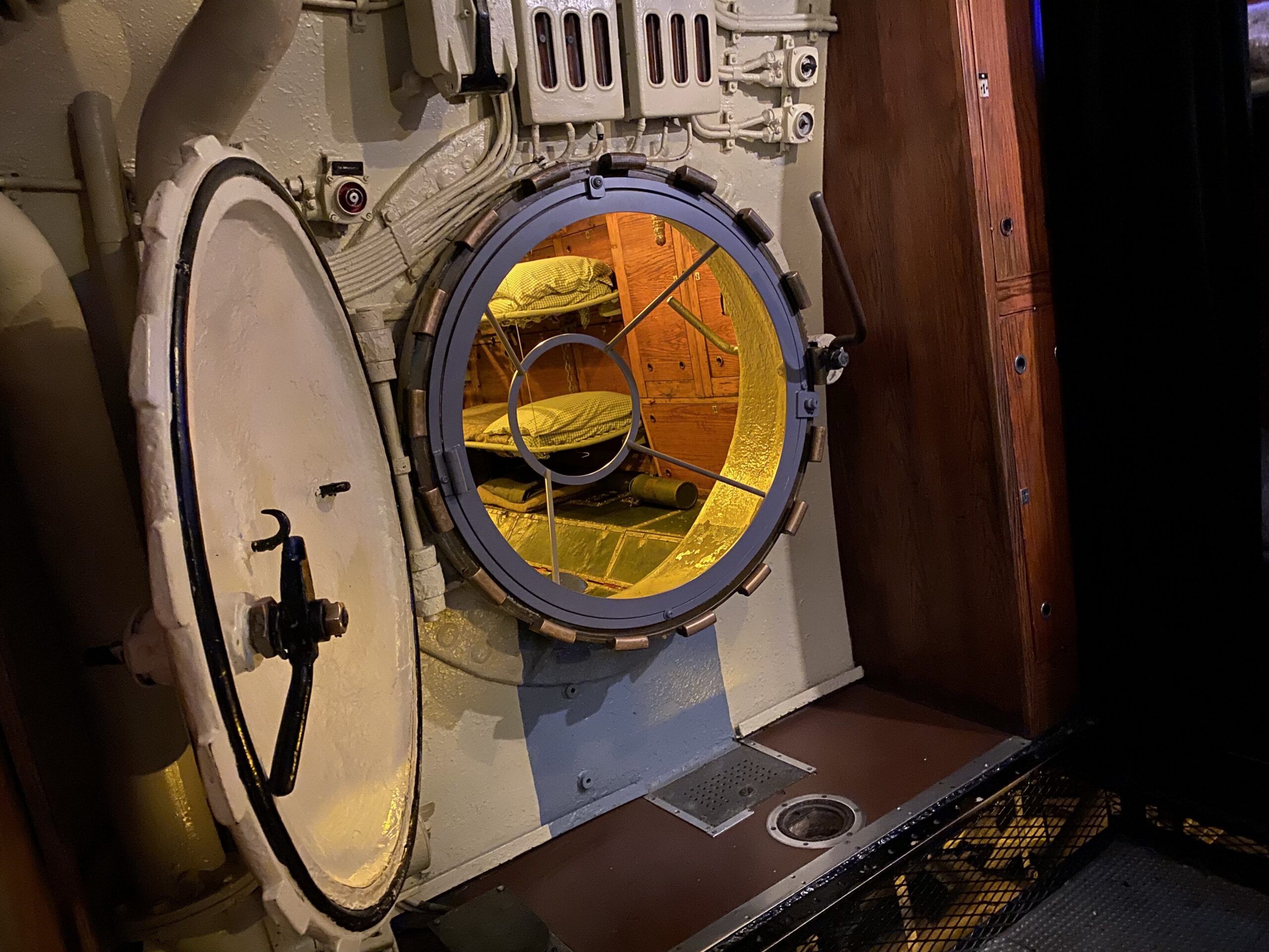 20,000 Bots Under the Sea: A Fantastic Voyage into the Cell