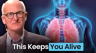 The 4-Minute Timer Keeping You Alive Right Now