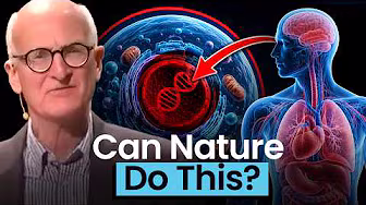 The Miracle that Keeps Your Body Alive