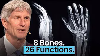 An Engineer Reacts to "Bad Human Design" Claims