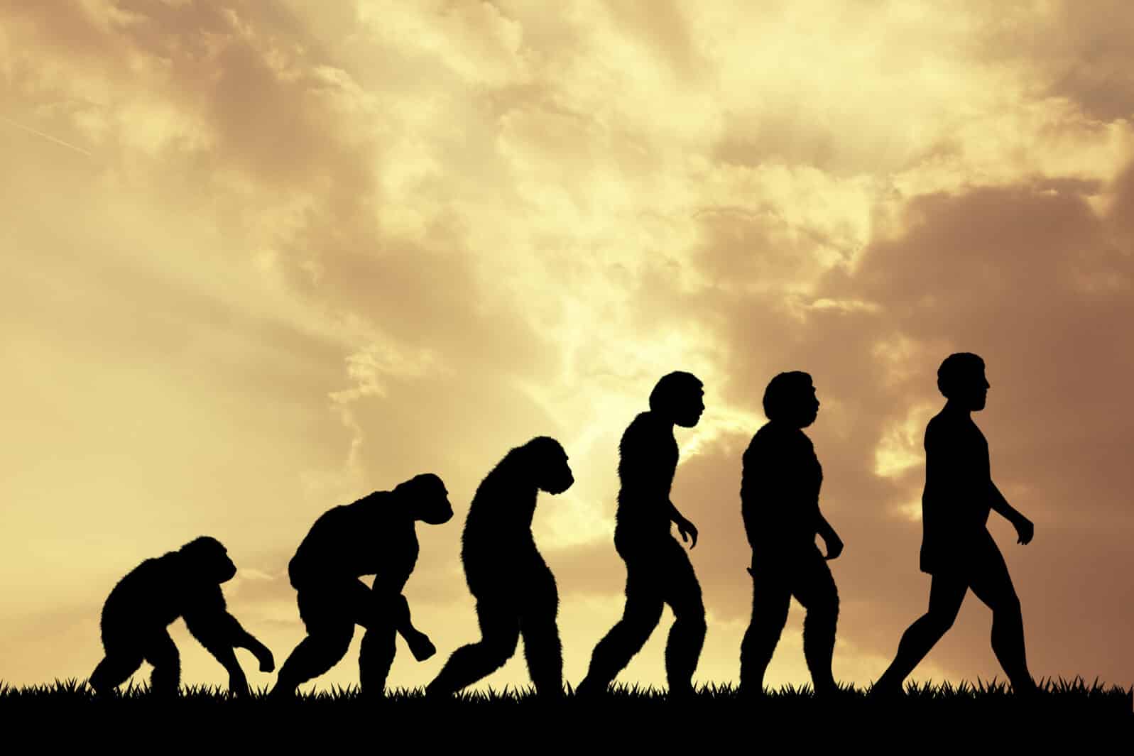 Who, Exactly, Is the Subject of Evolutionary Psychology?