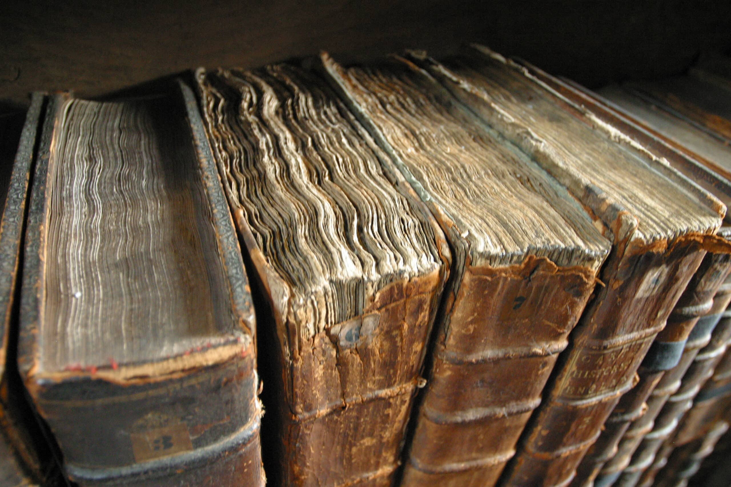 It’s Time to Buy Old Books Before AI Destroys Them