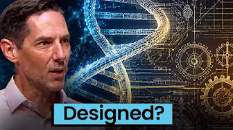 The Engineer Who Found Engineering Inside the Cell