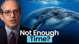 How Many Mutations Does It Take to Make a Whale?
