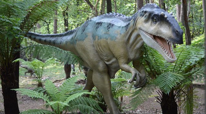 How to Talk to Your Kids About Evolution and Creation - What Kids Should Know About Evolution