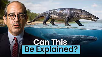The Abrupt Fossil Evidence That Challenges Darwin