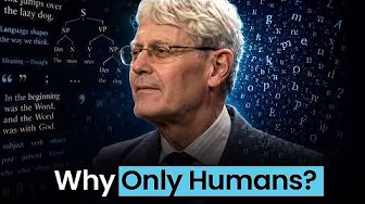 How Human Language Points to Intelligent Design