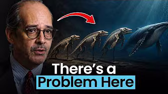 Is Natural Selection Mathematically Flawed?