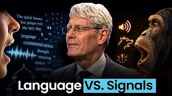 The Genius Biology Behind Every Word You Say