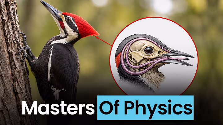 How a Woodpecker is Direct Evidence for God