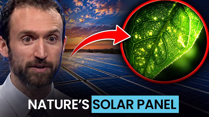 Leaves Are More Insane Than You Think: Nature’s Self-Repairing Solar Panels