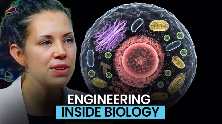 Why Systems Biology Borrows From Engineering