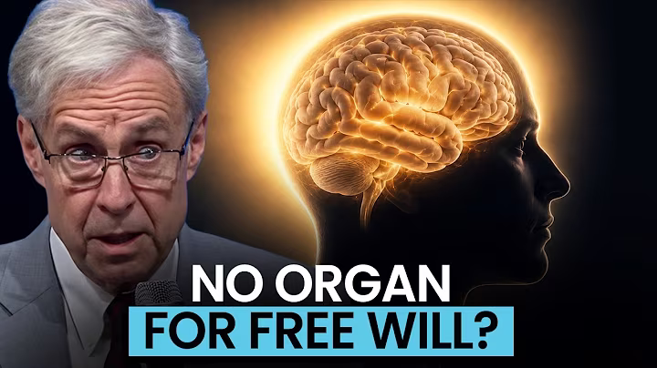 Is Free Will More Than Brain Activity? Michael Egnor’s Argument