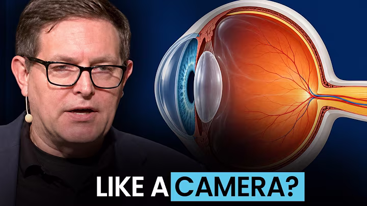 How the Human Eye Solves Engineering Problems, According to Brian Miller